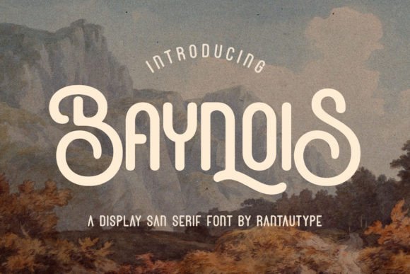 Baynois: Vintage Display Font for Impactful Campaigns